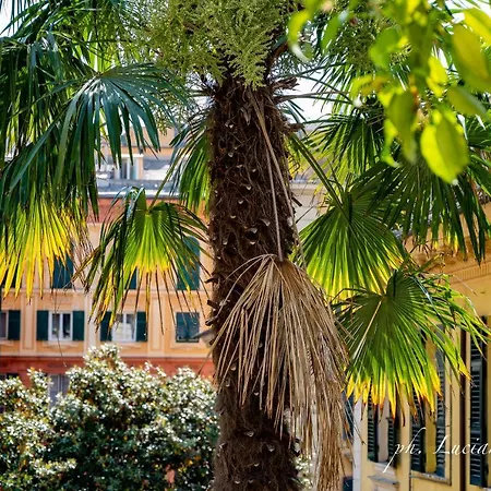 Il Giardino Della Tartaruga Konukevi Cenova